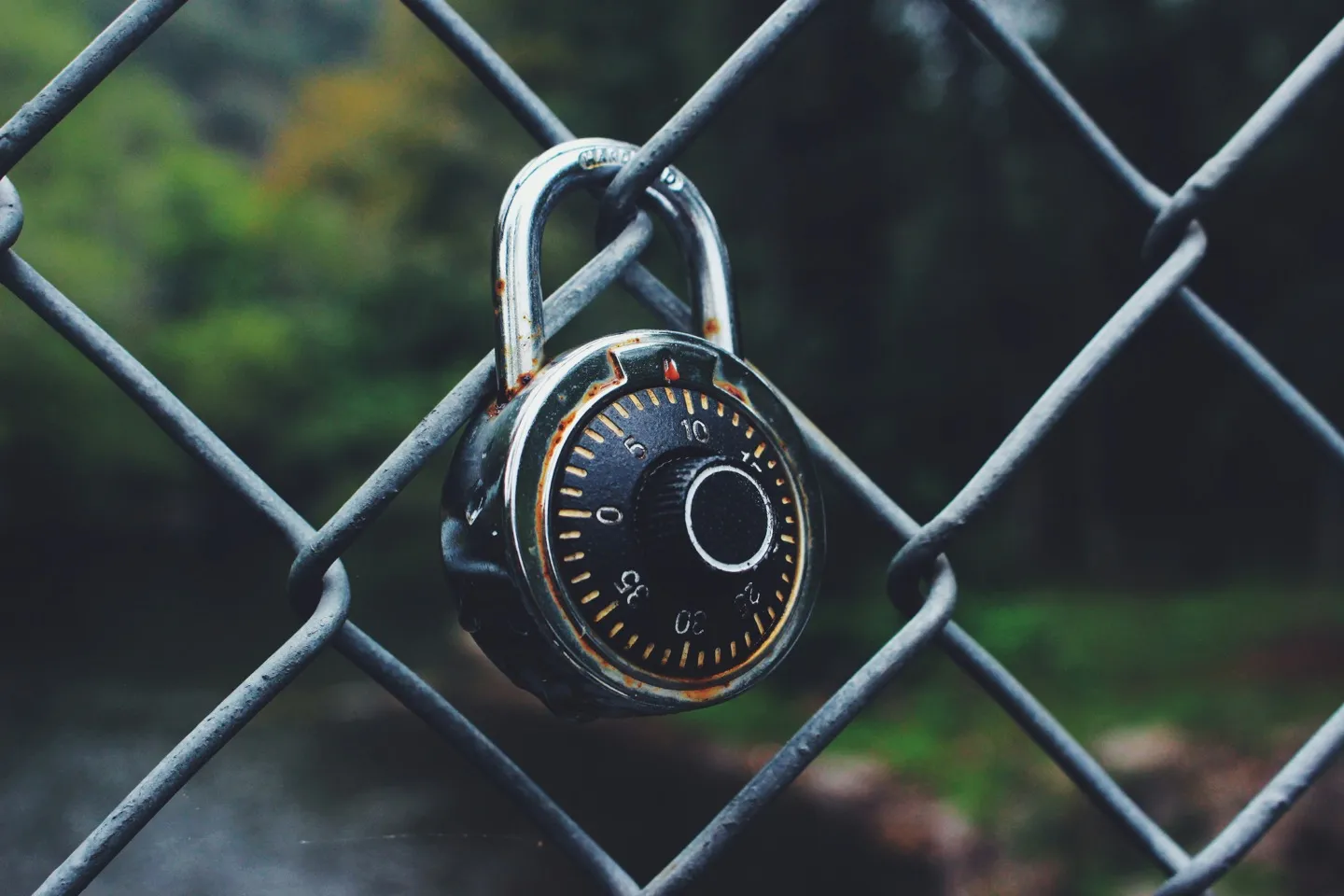 Instagram Account Management